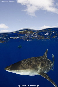 Oceanic Over/under by Rasmus Raahauge 